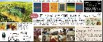 2/9~『アートギャッベ展2013.春』開催
